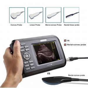 Portable Ultrasound Scanner Machine Veterinary VET + Mechanical Sector  Probe CE