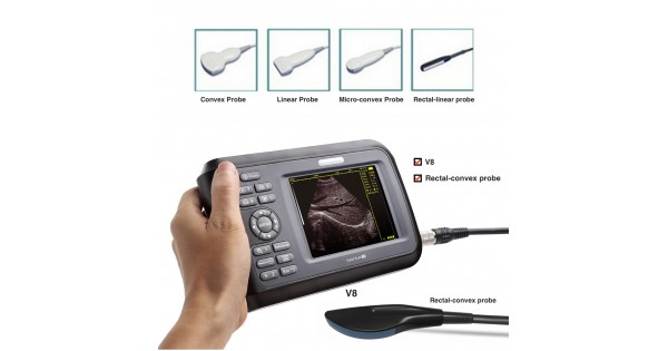 Scanner a Ultrasons Veterinaire Meditech a Usage Veterinaire - China  Ultrasound Scanner, Ultrasound Scanner for Vet