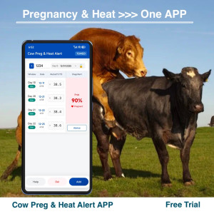 TG0511 Cow Early Pregnancy Detection App